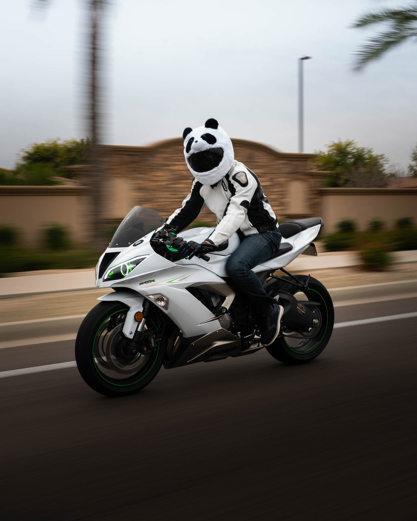 Panda Motorcycle Helmet Cover